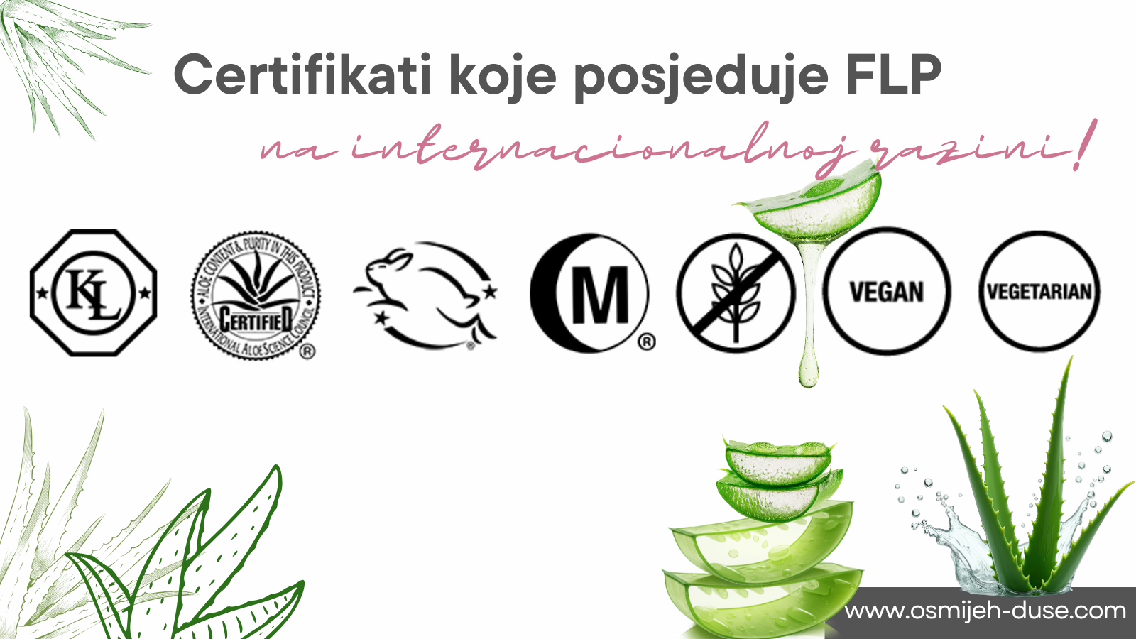 Certifikati koje posjeduje FLP na internacionalnoj razini!