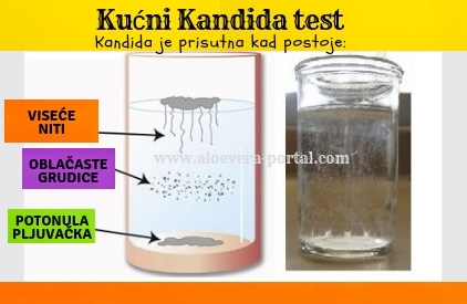Candida/Kandida