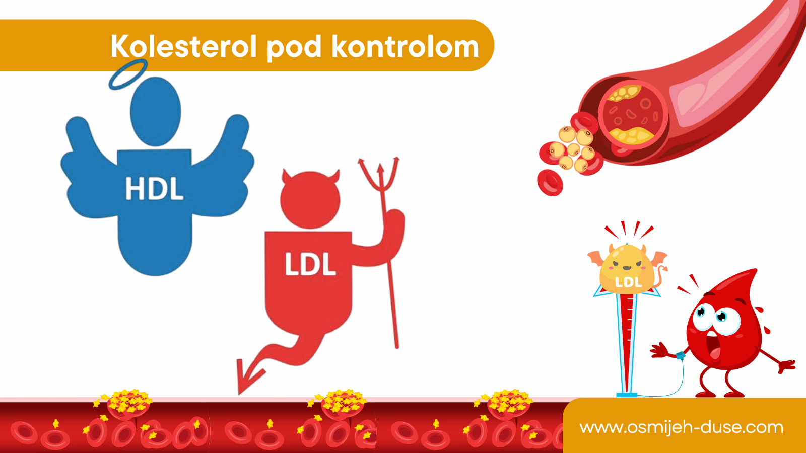 Kolesterol pod kontrolom