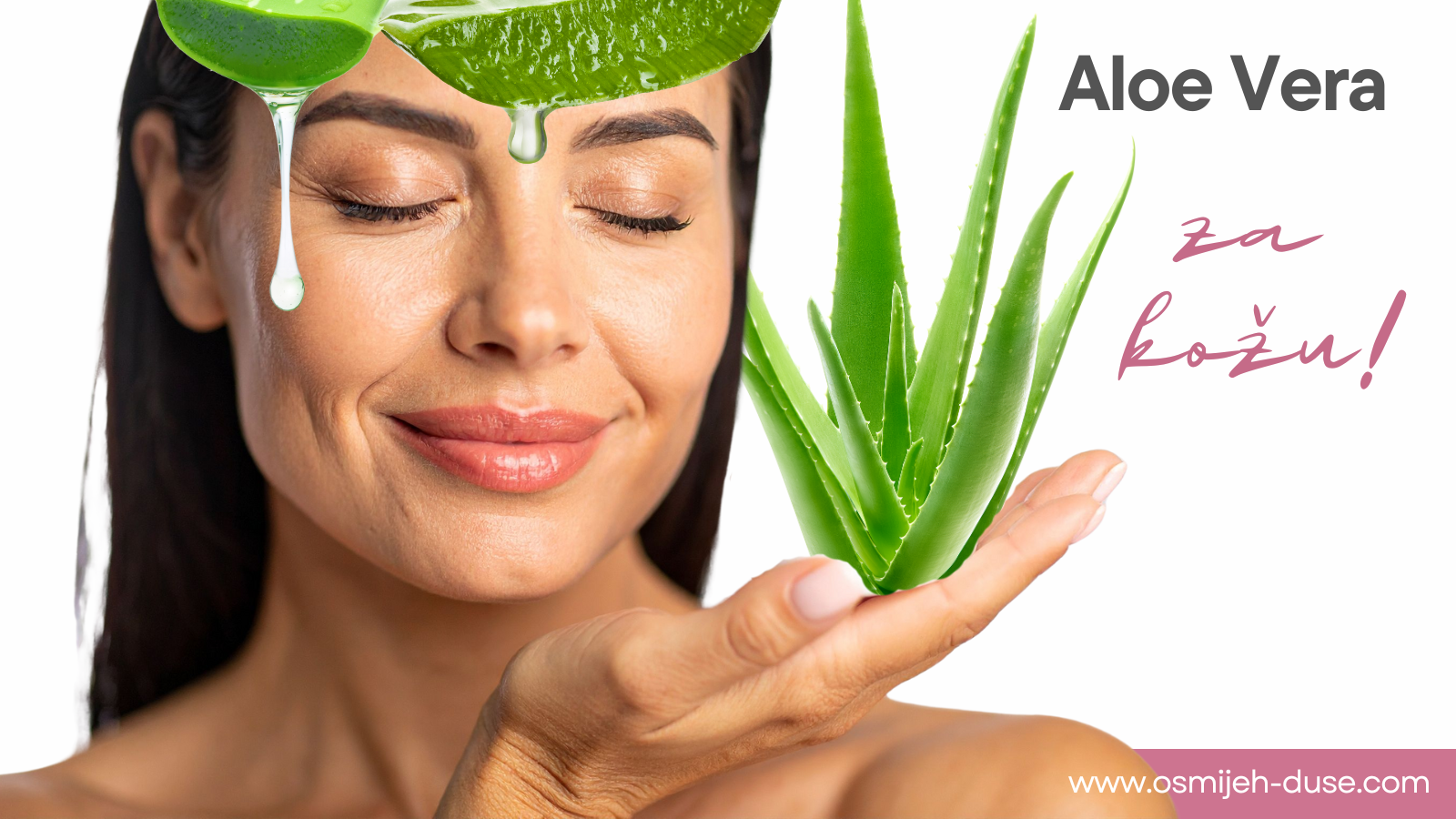 Aloe Vera - za kožu!