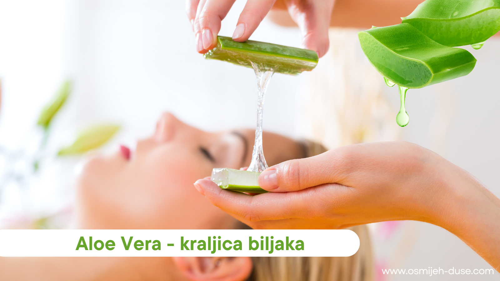 Aloe vera -kraljica biljaka koja iscjeljuje vašu kožu