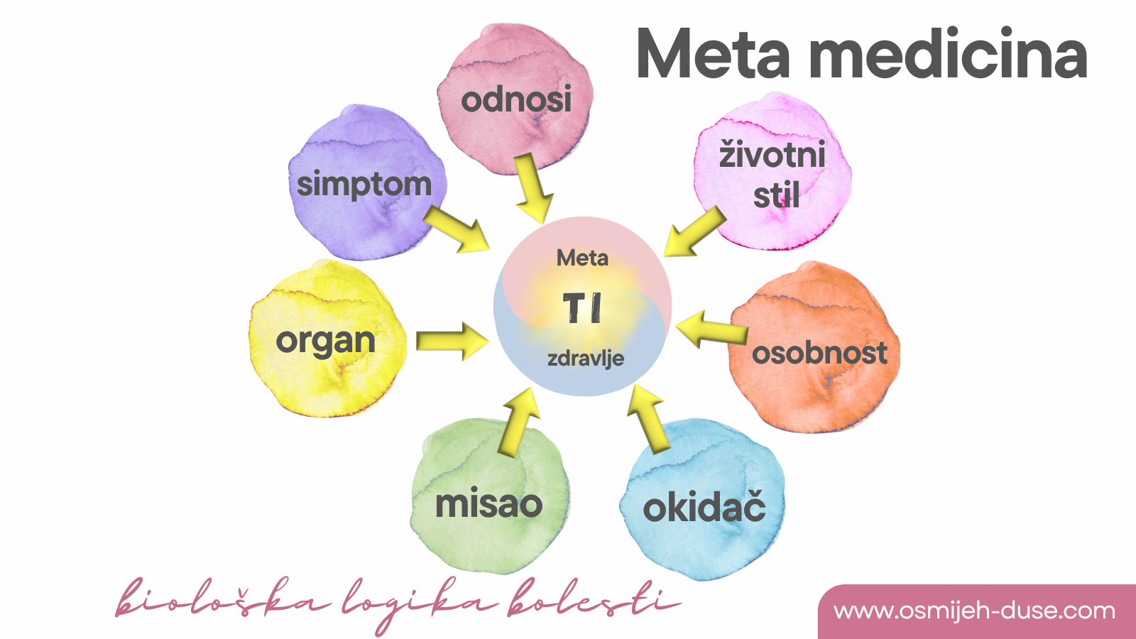 Što je MetaZdravlje ili MetaMedicina